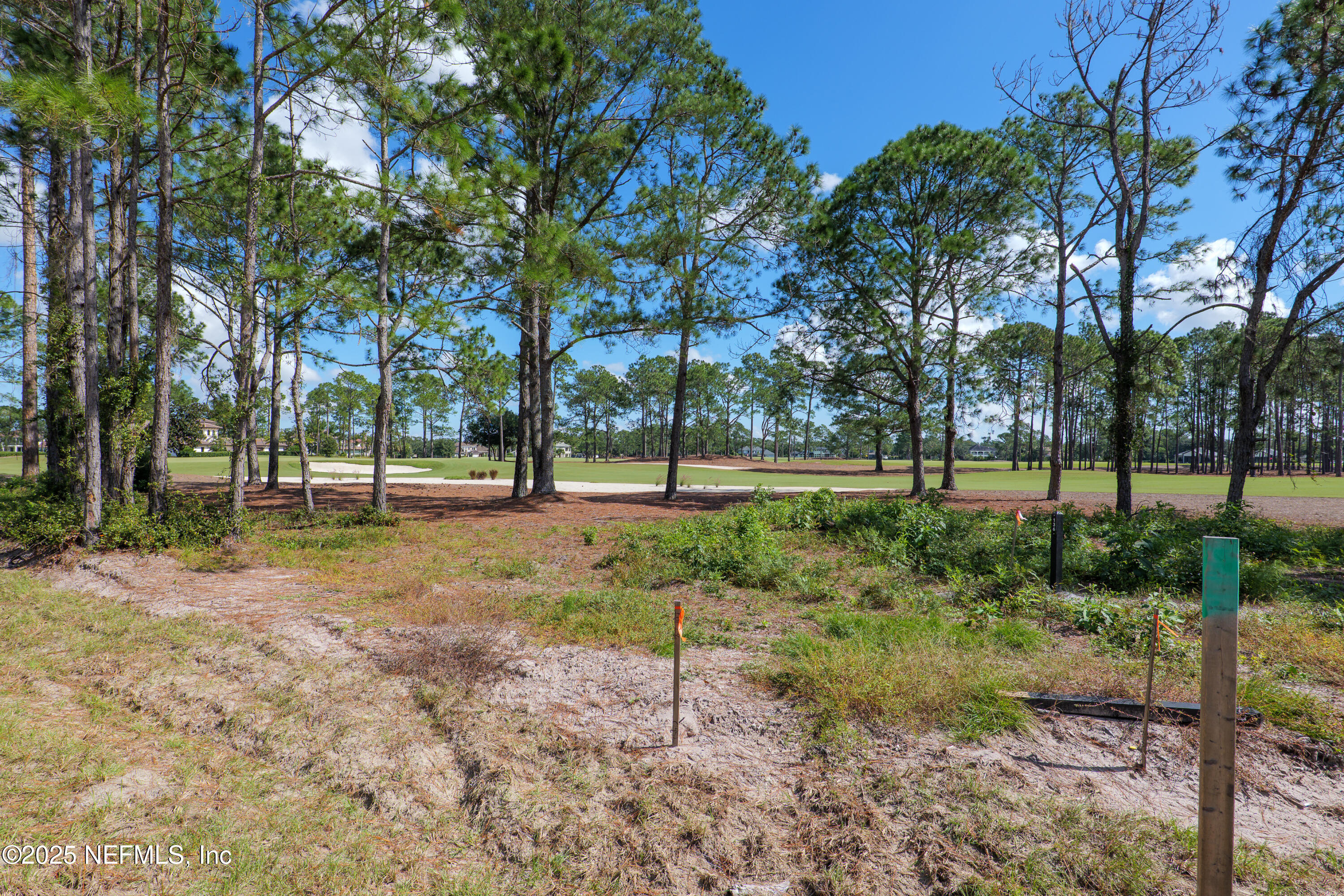4519 Rose Glen Road Jacksonville, FL 32224 - Photo 10 of 19 a view of a park with tree s