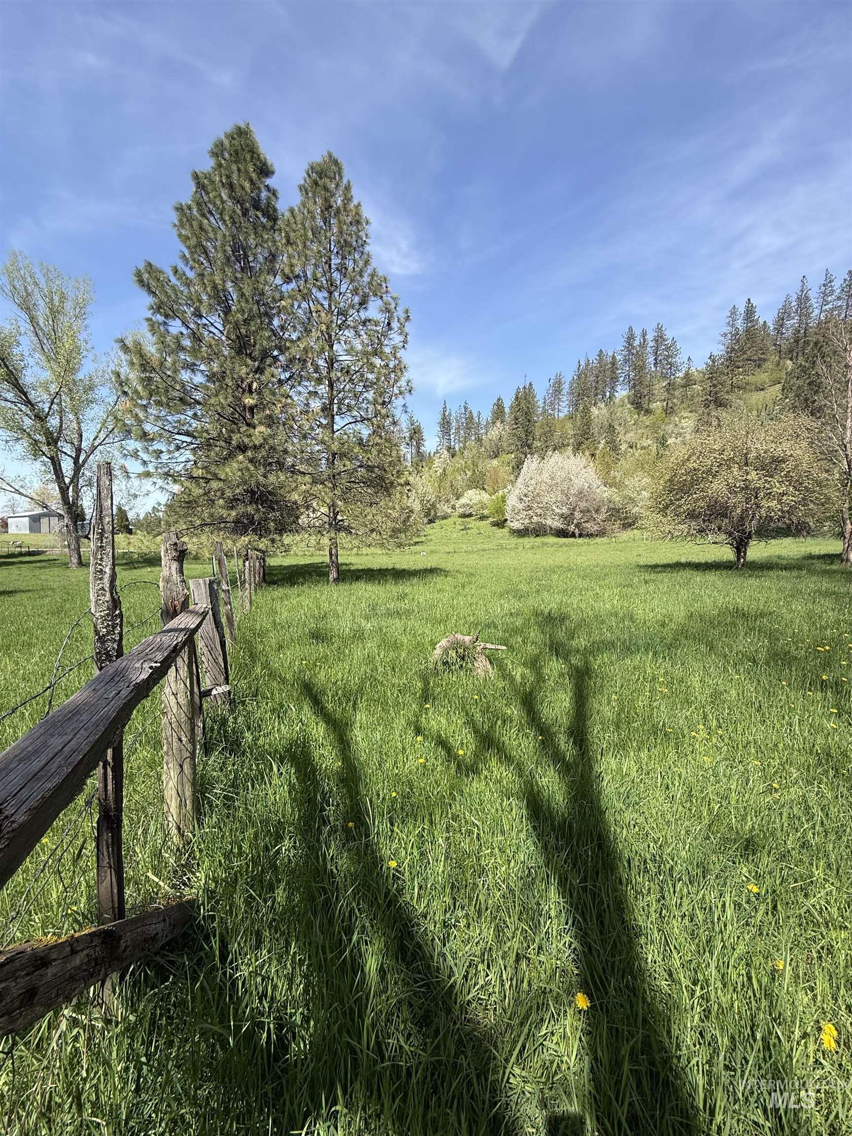 Tbd Cashway Road Kamiah, ID 83536 - Photo 4 of 9 Gallery Image 4