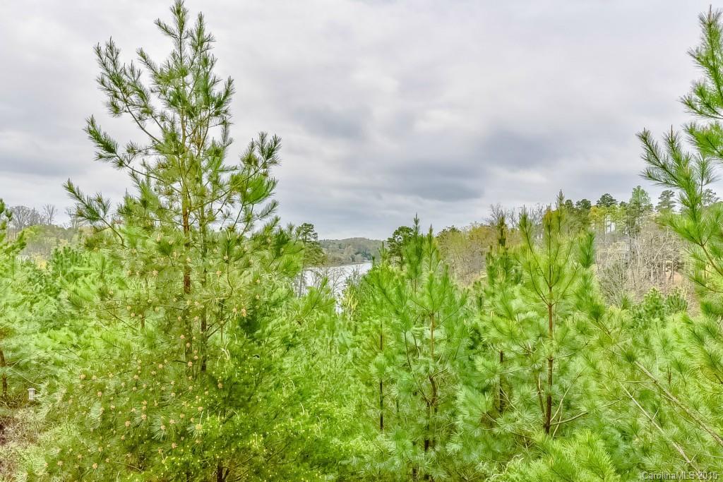 629 Sunfish Lane, Unit L17 629 Tega Cay, SC 29708 - Photo 14 of 23 Gallery Image 14