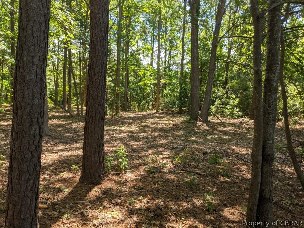 0 North River Road Gloucester, VA 23061 - Photo 4 of 15