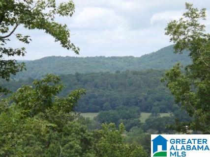 0 Beaver Ridge Drive, Unit 42 48 Ashville, AL 35953 - Photo 1 of 26
