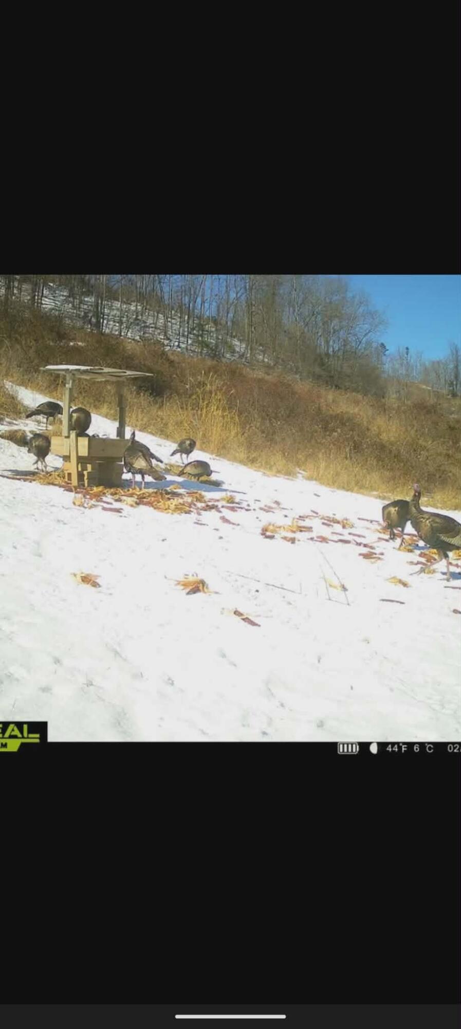 404 Lower Nickell Branch Road Hazel Green, KY 41332 - Photo 74 of 89 att.ZR7NwHmztuGe6_MYEJ3sS2uneGw7nzrmtoSP
