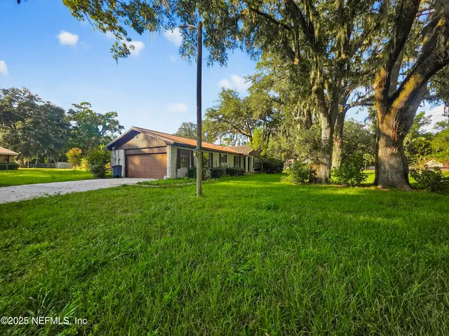 a view of a park with a tree in the background
