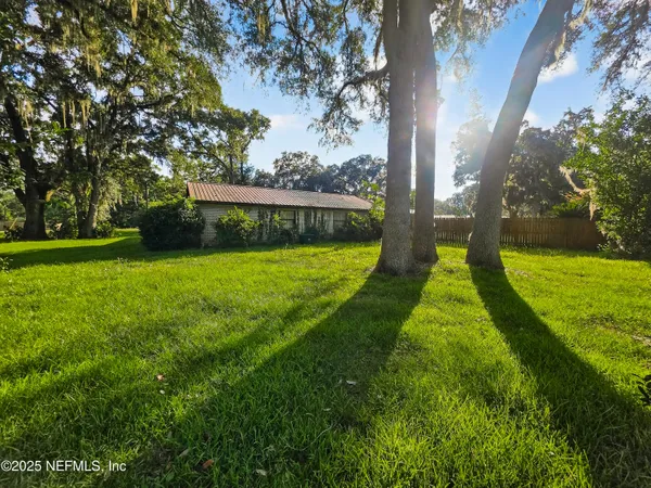 a view of a yard with large trees