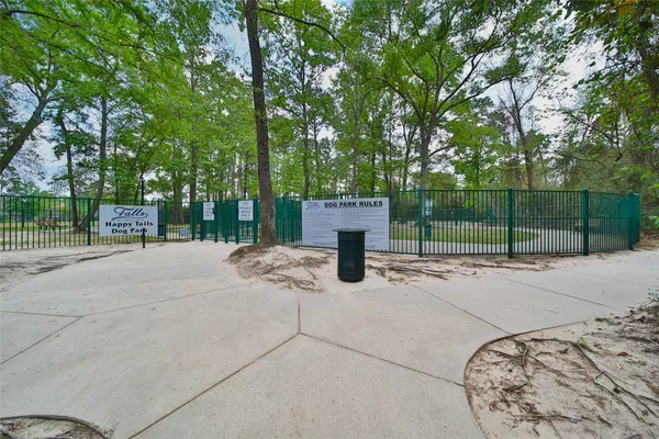 a view of a park with a trees