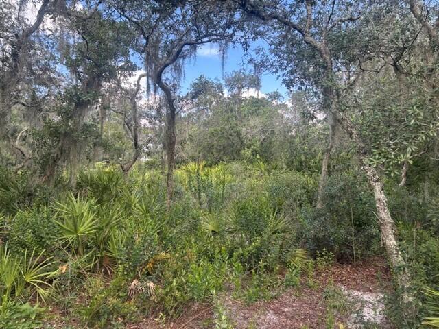 0 Old Stokes Road Frostproof, FL 33843 - Photo 7 of 8 3