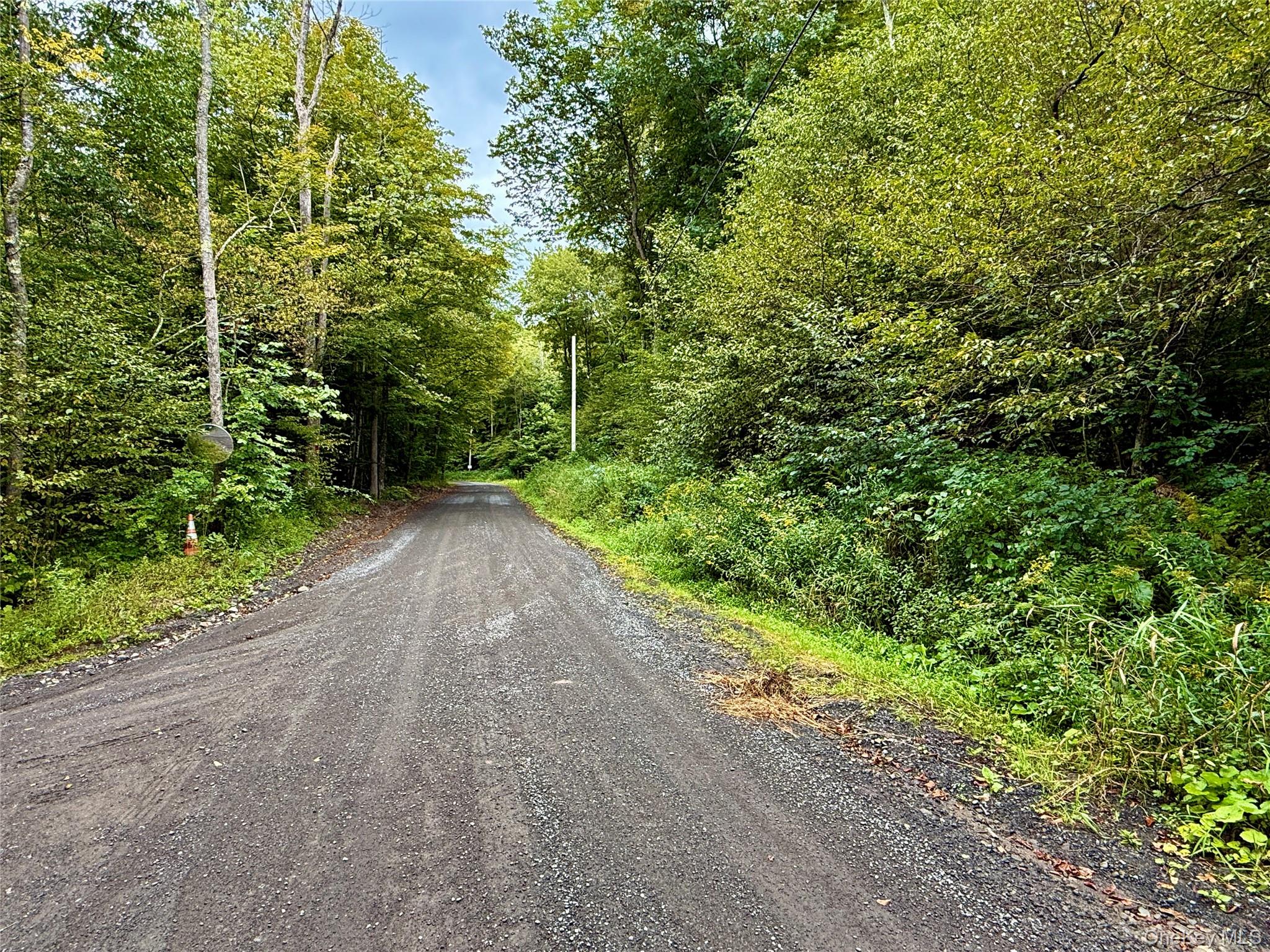 216 Neer Road Long Eddy, NY 12760 - Photo 17 of 48