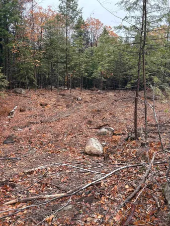 $44,900 | 7 Sugar Loaf Drive, Unit 8, Ossipee, NH 03814