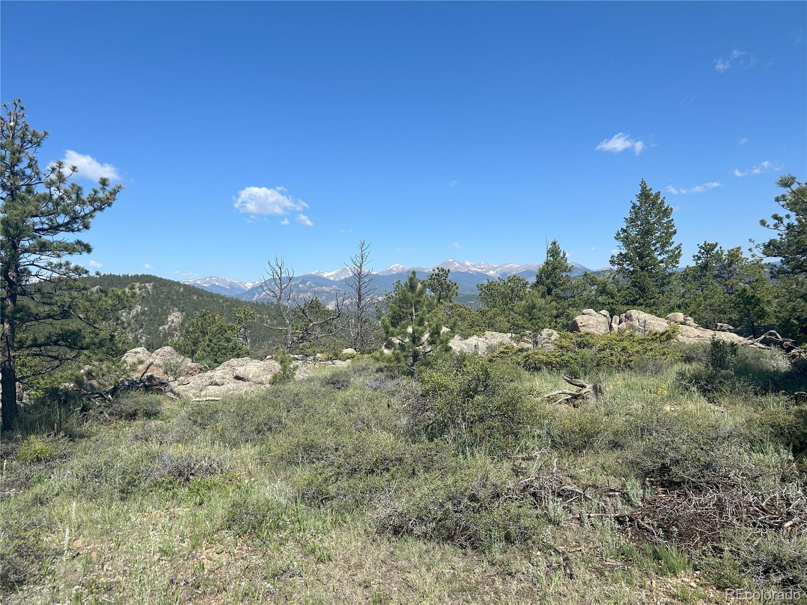 591599 Soul Shine Road Drake, CO 80515 - Photo 2 of 50 Gallery Image 2