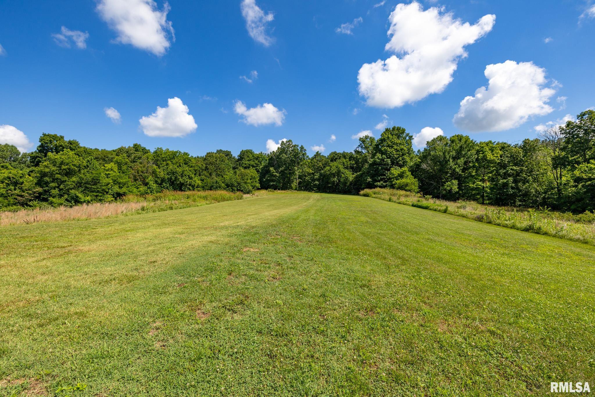 1770 Aldridge Road Cobden, IL 62920 - Photo 47 of 71