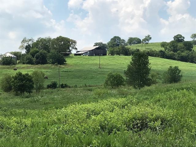 0 Hickory Ridge Road Gallatin, TN 37066 - Photo 11 of 14 a view of a grassy field with trees