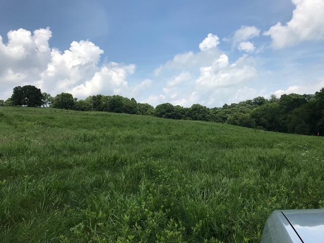 0 Hickory Ridge Road Gallatin, TN 37066 - Photo 7 of 14 a view of a big yard with potted plants and big yard