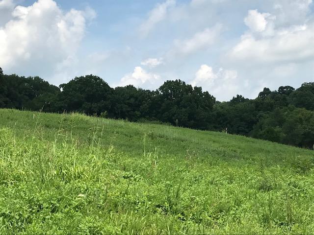 0 Hickory Ridge Road Gallatin, TN 37066 - Photo 9 of 14 a view of an mountain with a garden