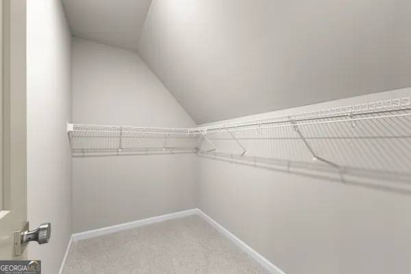 a view of a yard with plants and trees