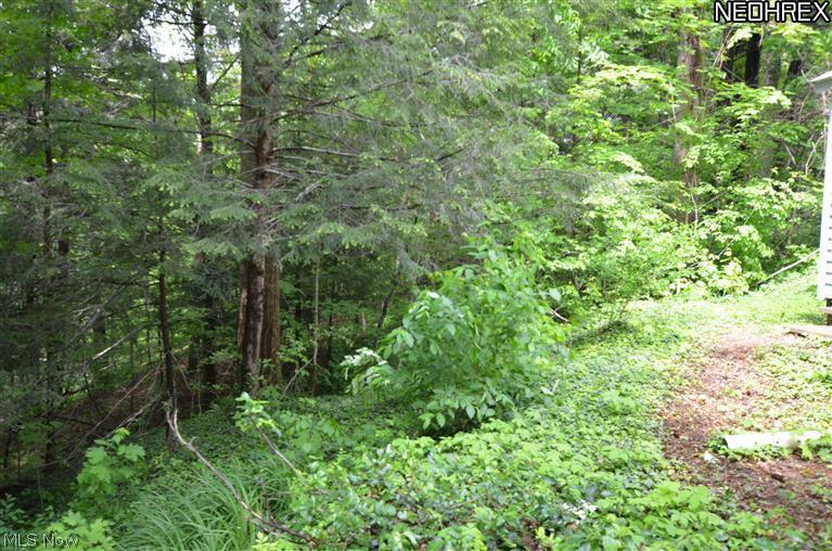 Ravine View (Spring/Summer)