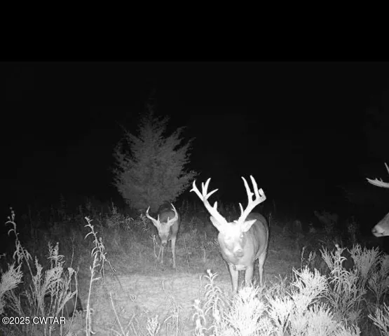 $750,000 | 2356 Old Darden Chesterfield Road, Darden, TN 38328