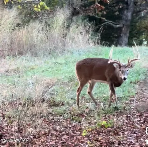 $750,000 | 2356 Old Darden Chesterfield Road, Darden, TN 38328