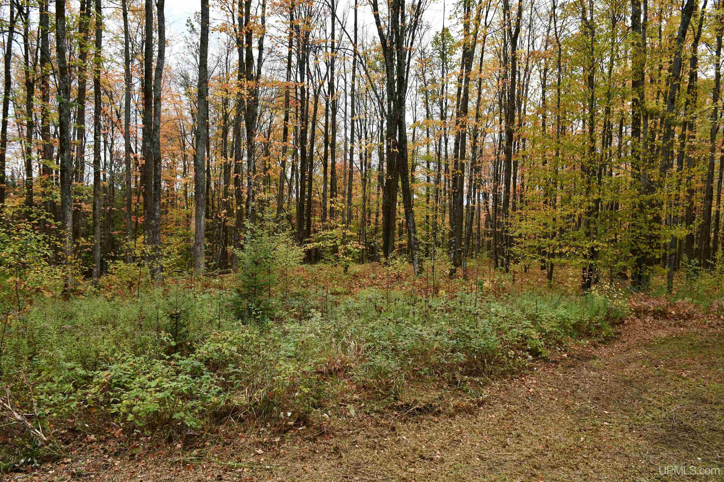 Tbd County Line Road Foster City, MI 49834 - Photo 55 of 56