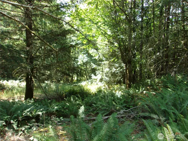 $350,000 | 371 Green Mountain Lane, Brinnon, WA 98320