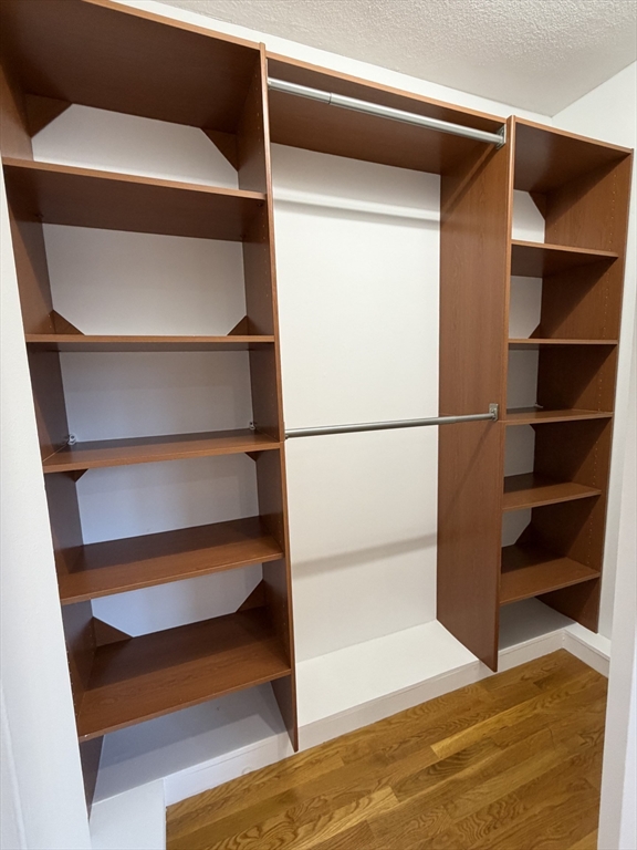 383 Langley Road, Unit 11 Newton, MA 02459 - Photo 9 of 15 a view of walk in closet with empty racks