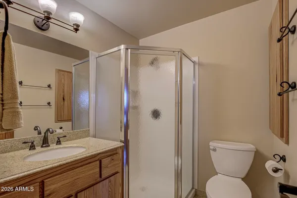a bathroom with a shower and a toilet