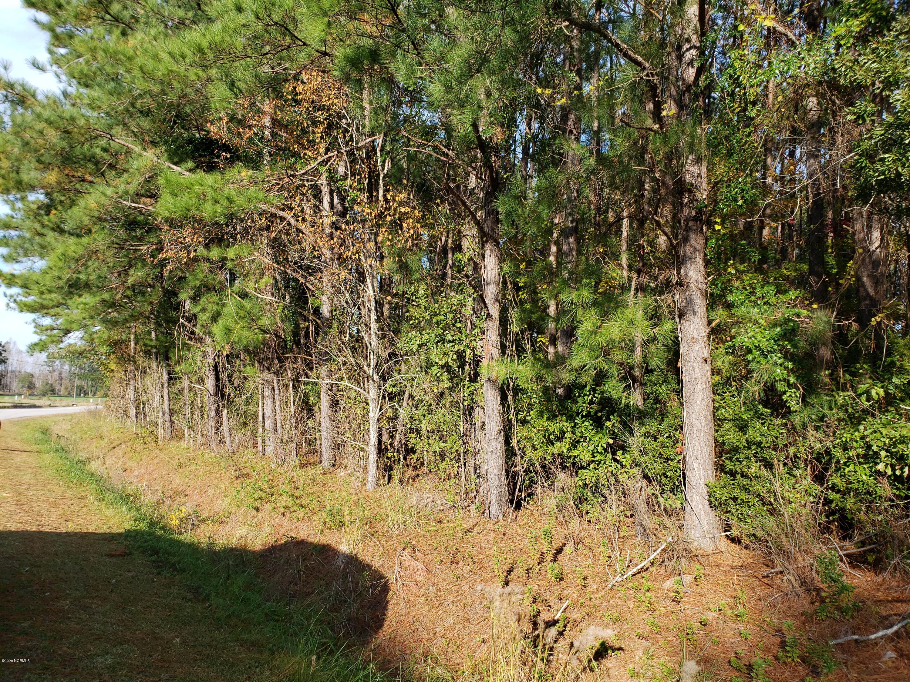 L2 Old Timber Road Jacksonville, NC 28540 - Photo 1 of 5 Lt2