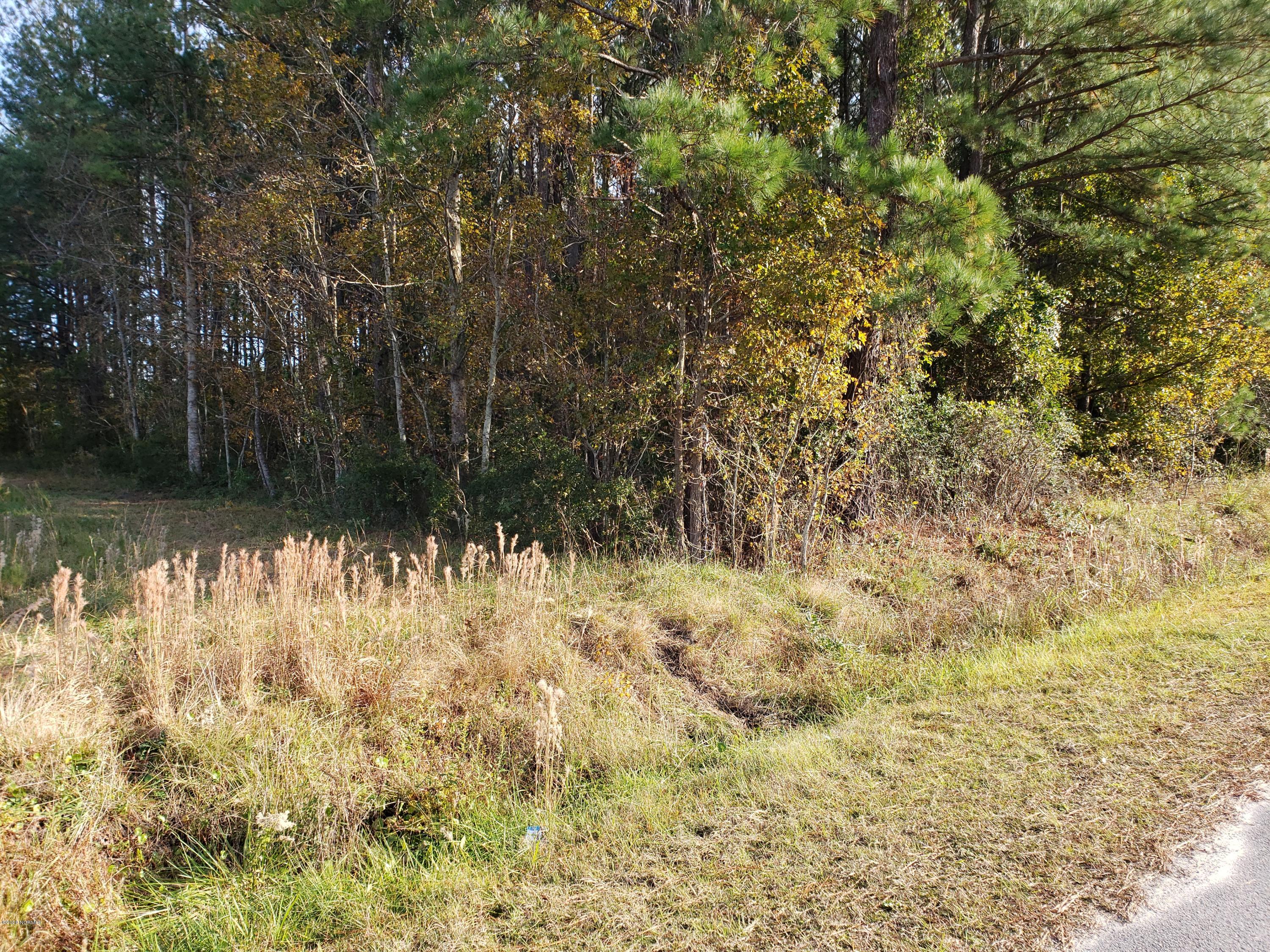 L2 Old Timber Road Jacksonville, NC 28540 - Photo 4 of 5 20191121_145702