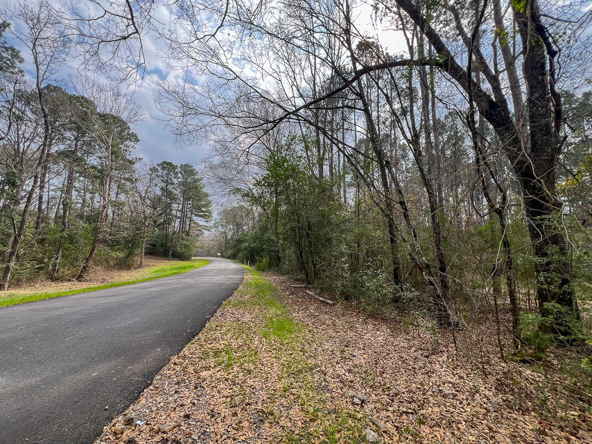 3 Union Springs Road Corrigan, TX 75939 - Photo 15 of 21 a view of a yard with large trees