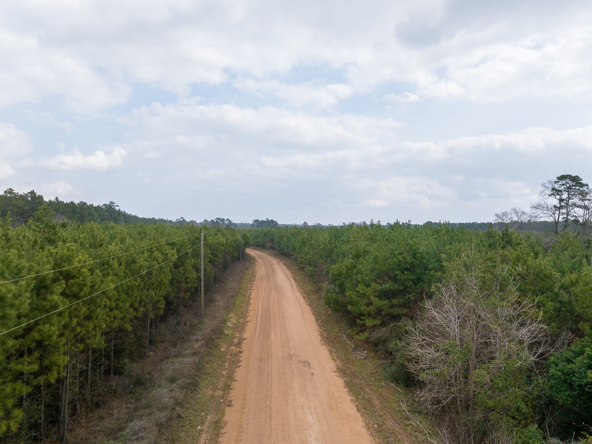 3 Union Springs Road Corrigan, TX 75939 - Photo 17 of 21 a view of a lake with a mountain