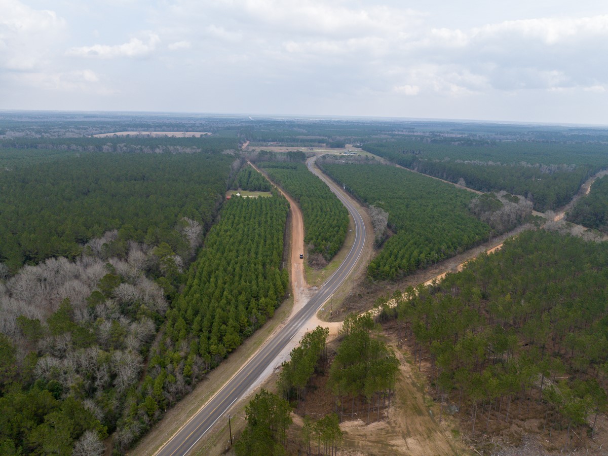 3 Union Springs Road Corrigan, TX 75939 - Photo 19 of 21 a view of a lake and a yard