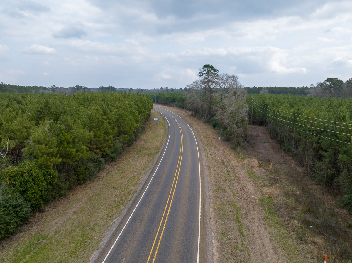 3 Union Springs Road Corrigan, TX 75939 - Photo 20 of 21 a view of a city with lush green forest
