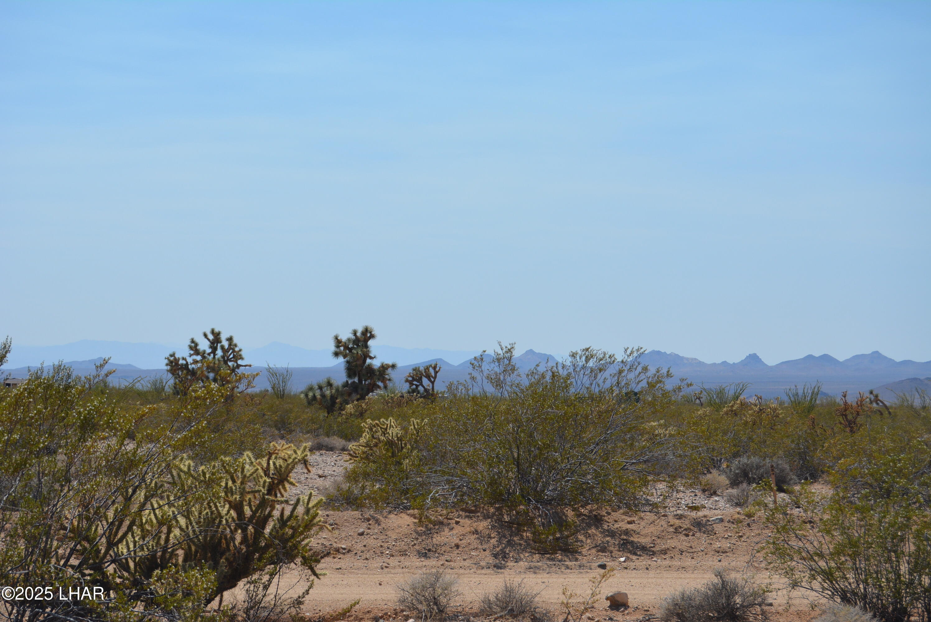 165-166 Cherry Road Yucca, AZ 86438 - Photo 69 of 95 DSC_0073