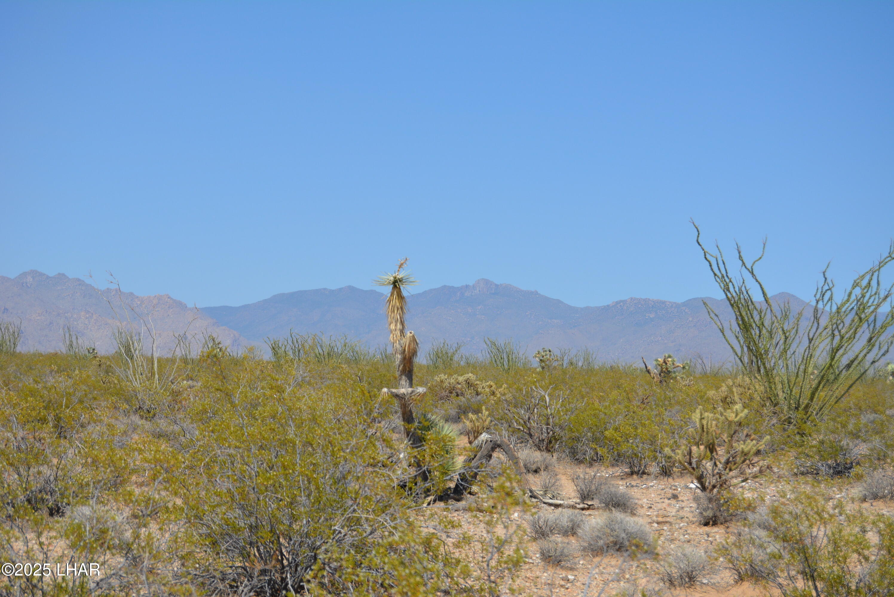 165-166 Cherry Road Yucca, AZ 86438 - Photo 74 of 95 a view of a mountain with a sunset