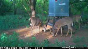 129 Rule Tx 79547 Rule, TX 79547 - Photo 11 of 17 a backyard of a house with table and chairs