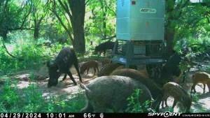 129 Rule Tx 79547 Rule, TX 79547 - Photo 12 of 17 a view of backyard of house with green space
