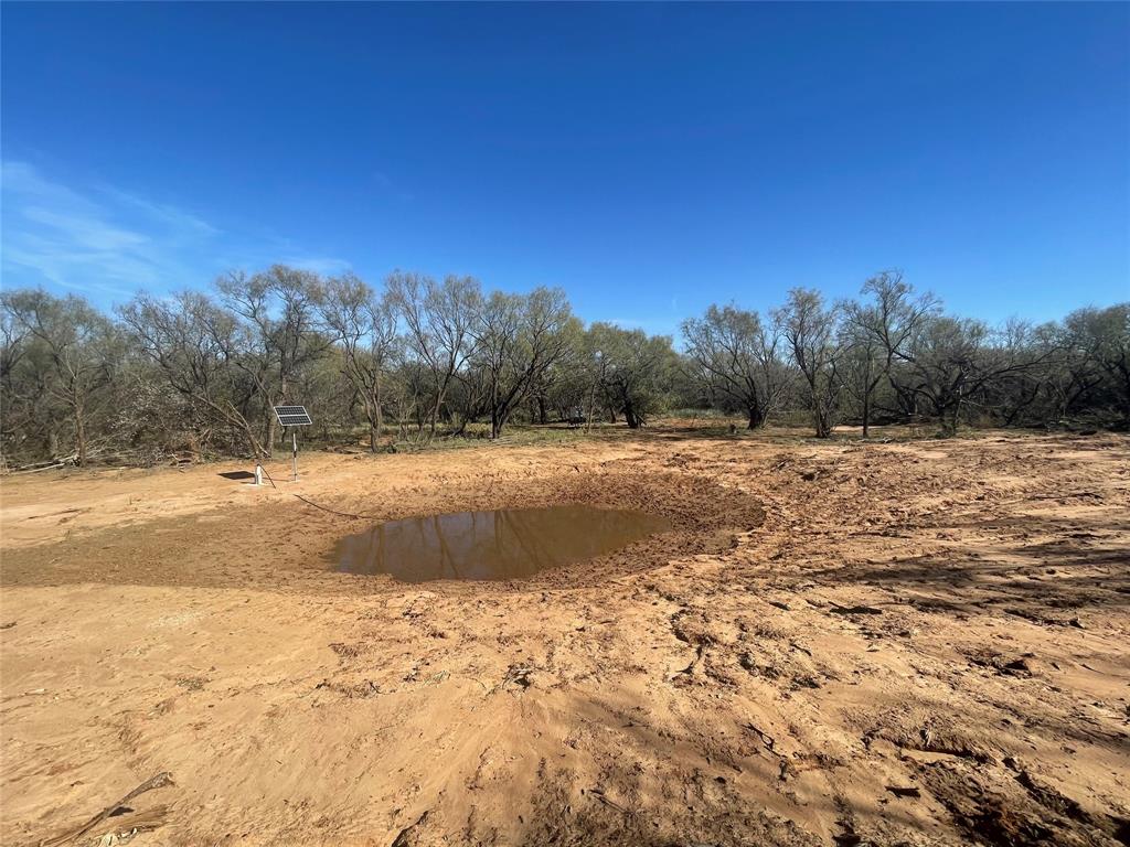 129 Rule Tx 79547 Rule, TX 79547 - Photo 16 of 17 a view of a yard with a tree