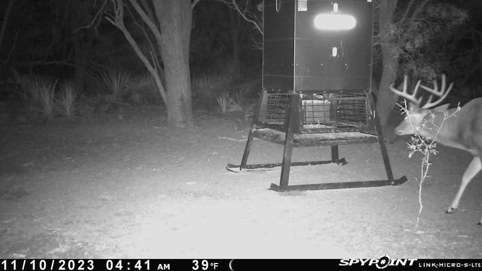 129 Rule Tx 79547 Rule, TX 79547 - Photo 8 of 17