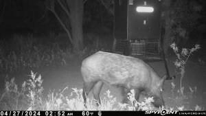 129 Rule Tx 79547 Rule, TX 79547 - Photo 9 of 17 a view of a room