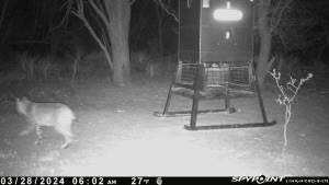 129 Rule Tx 79547 Rule, TX 79547 - Photo 10 of 17 a view of entryway