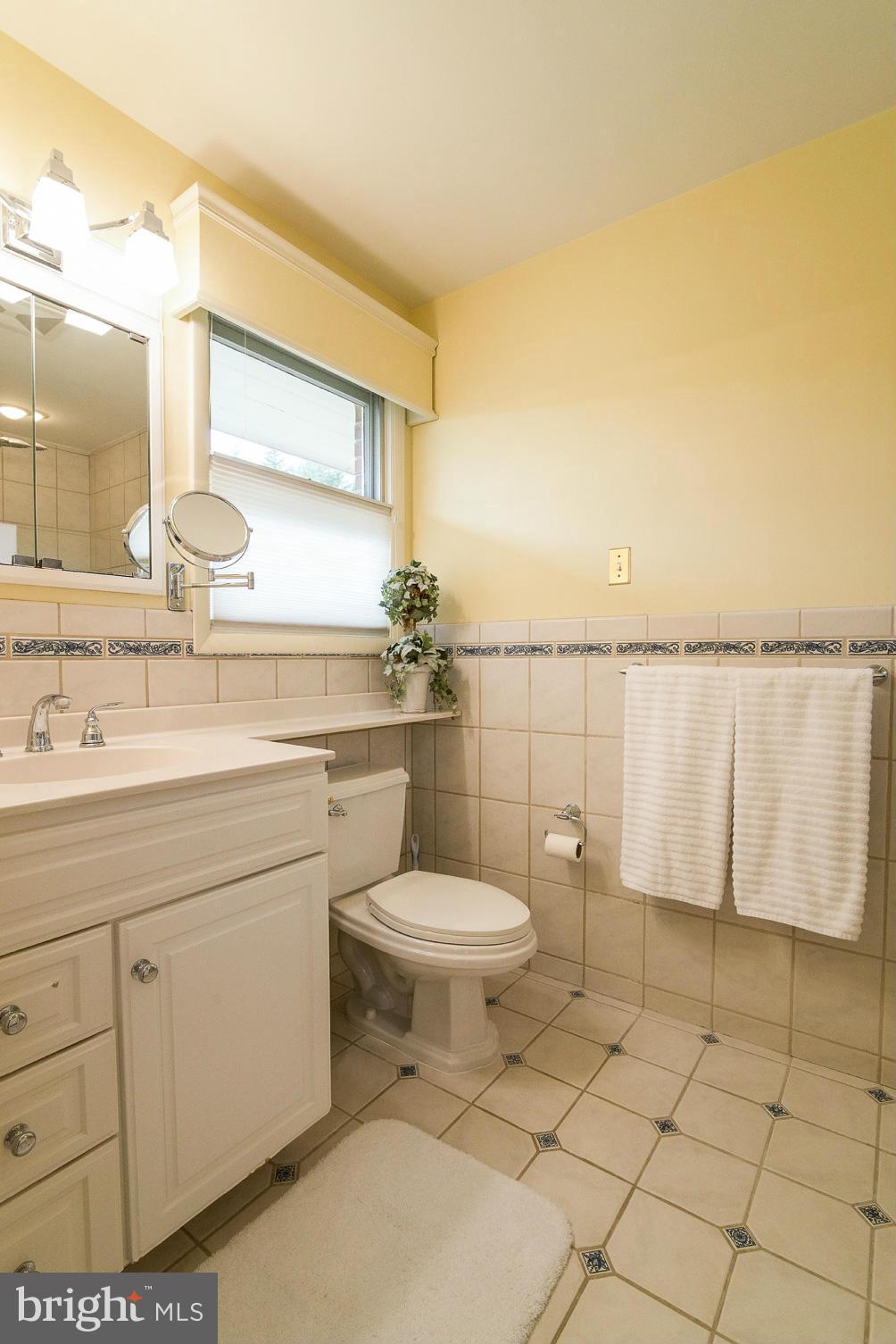 1200 Doves Cove Road Baltimore, MD 21286 - Photo 13 of 25 a bathroom with a sink a toilet and mirror
