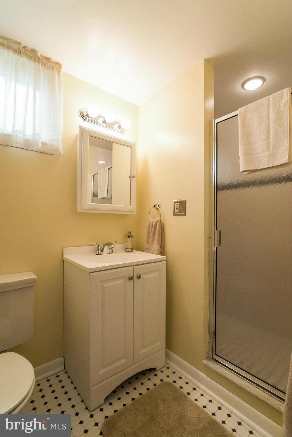 1200 Doves Cove Road Baltimore, MD 21286 - Photo 21 of 25 a bathroom with a sink a toilet and shower