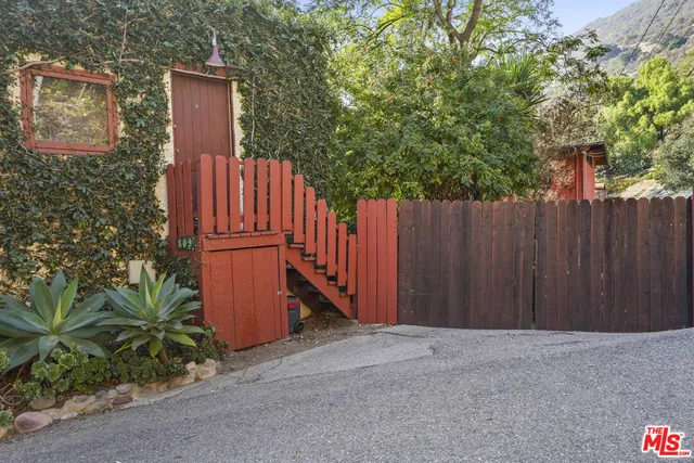 a view of a garden with plants