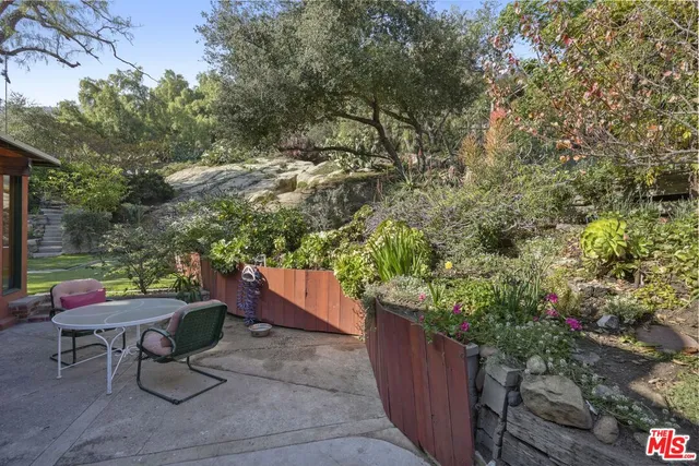 a view of a garden with plants