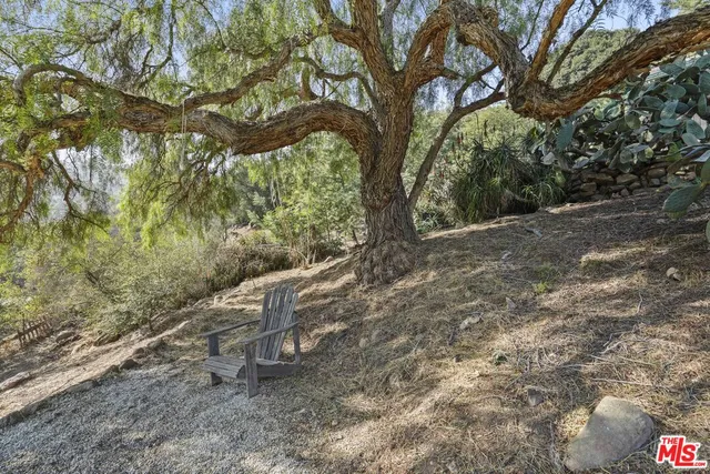 a view of a pathway both side of yard