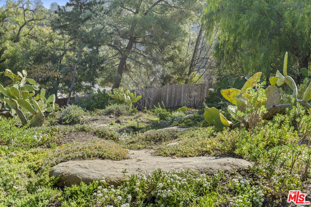 809 Basin Drive Topanga, CA 90290 - Photo 33 of 57 a view of a garden with plants