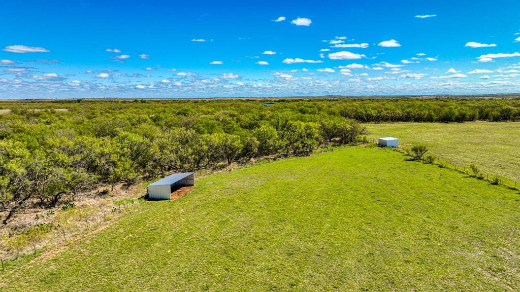 2337 Walsh Road Olney, TX 76374 - Photo 19 of 38 Expansive green acreage featuring a wooded perimeter and two detached outbuildings