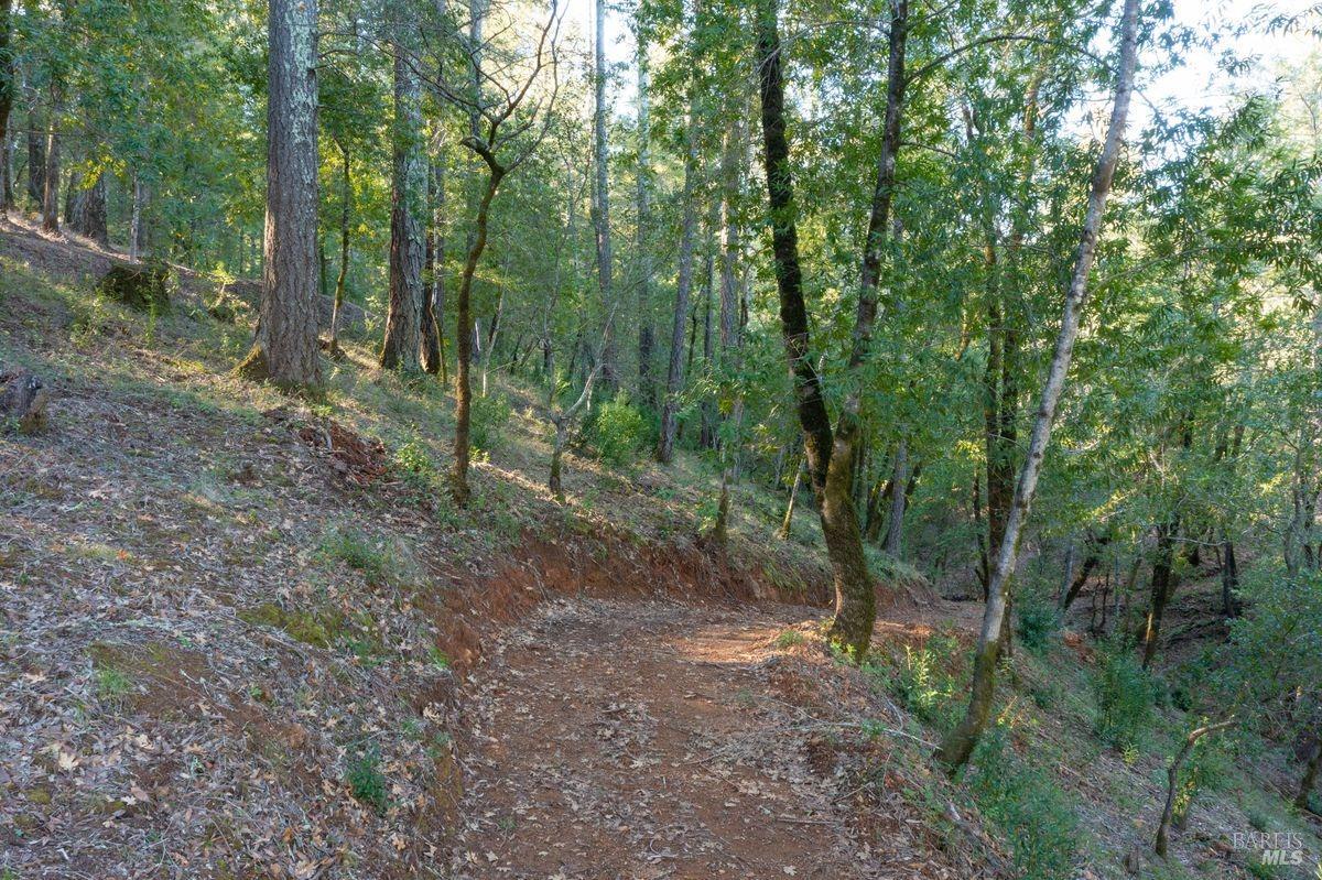 3210 West Dry Creek Road Healdsburg, CA 95448 - Photo 10 of 31