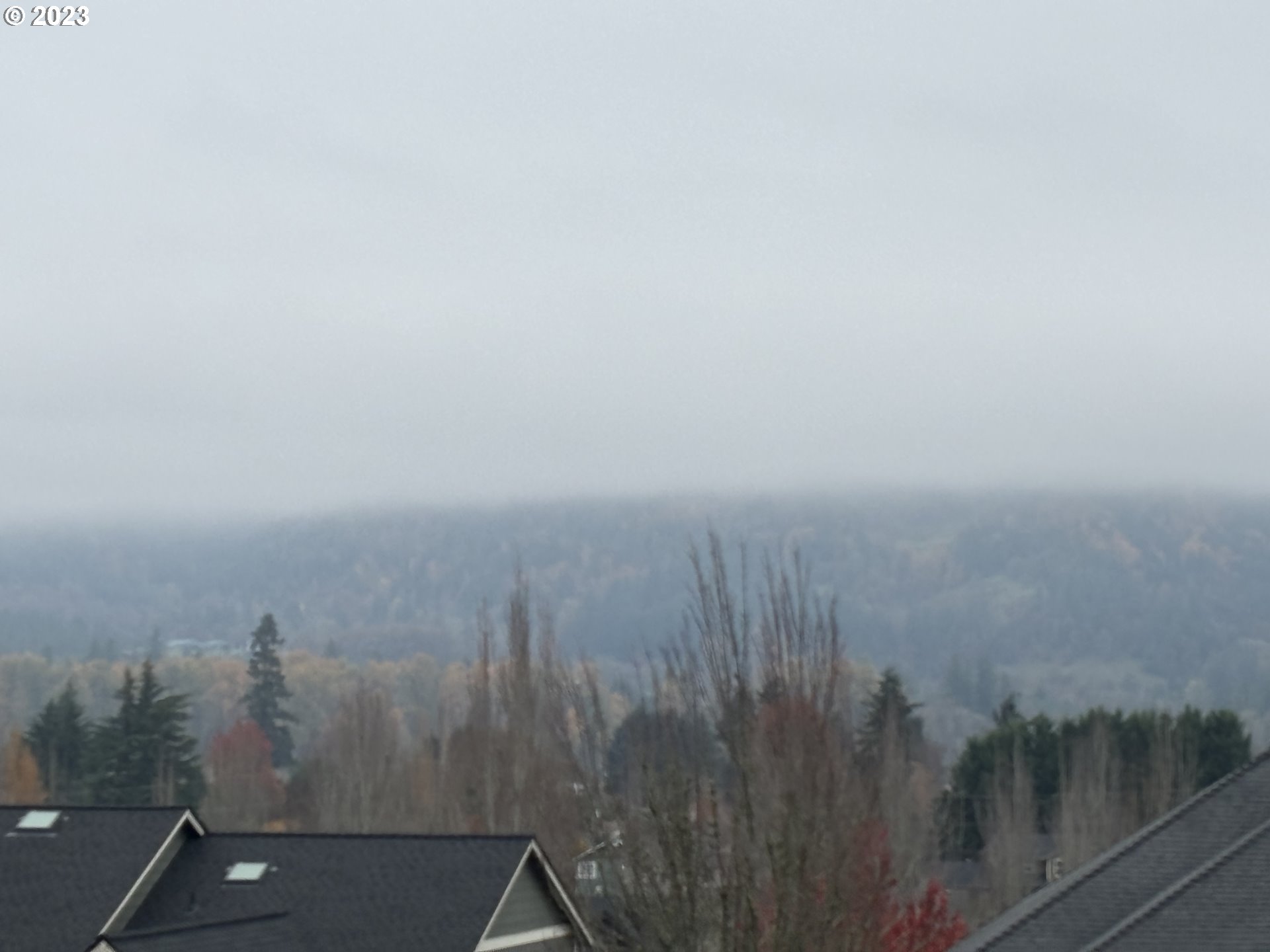 Ambleside, Unit 80 Springfield, OR 97477 - Photo 7 of 7