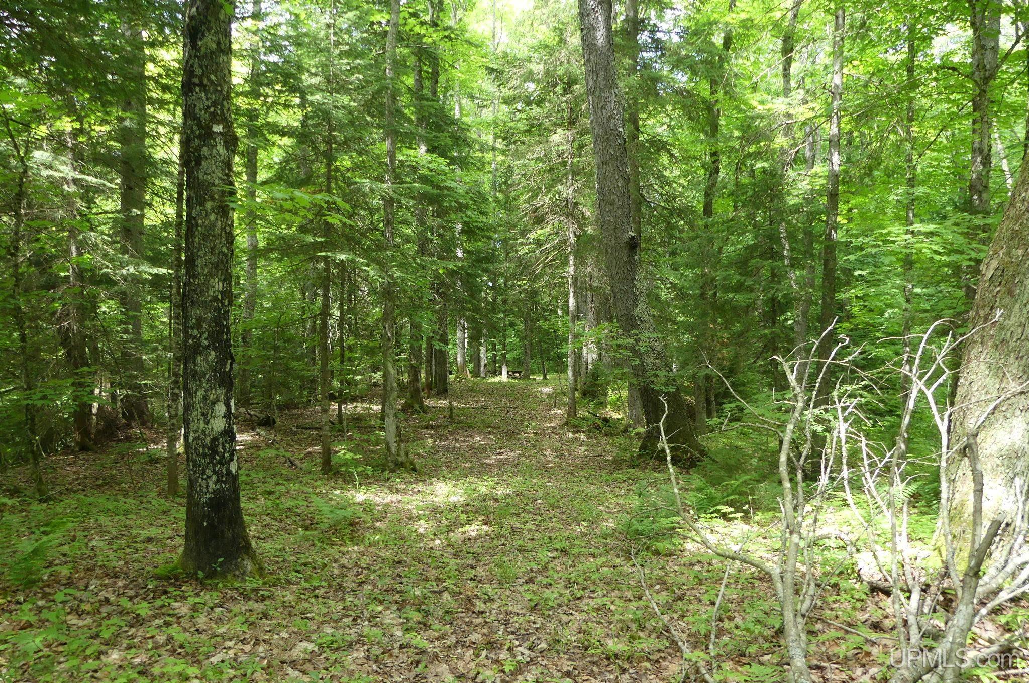 47 East 3rd Road Seney, MI 49883 - Photo 27 of 30 Gallery Image 27