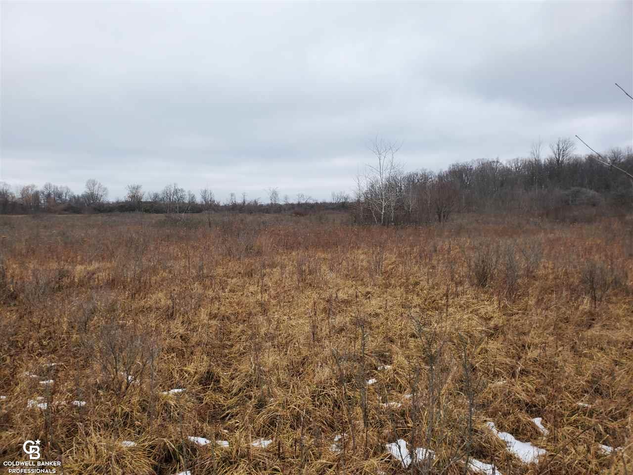 Rynn Rd Ville Avoca, MI 48006 - Photo 11 of 22